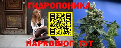 мдпв Канаш
