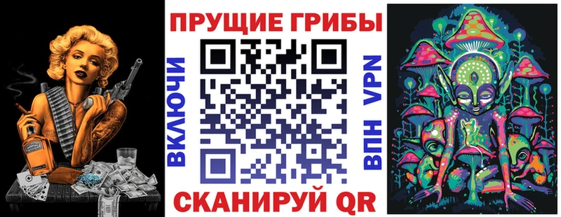 продажа наркотиков  Истра  Псилоцибиновые грибы Magic Shrooms 