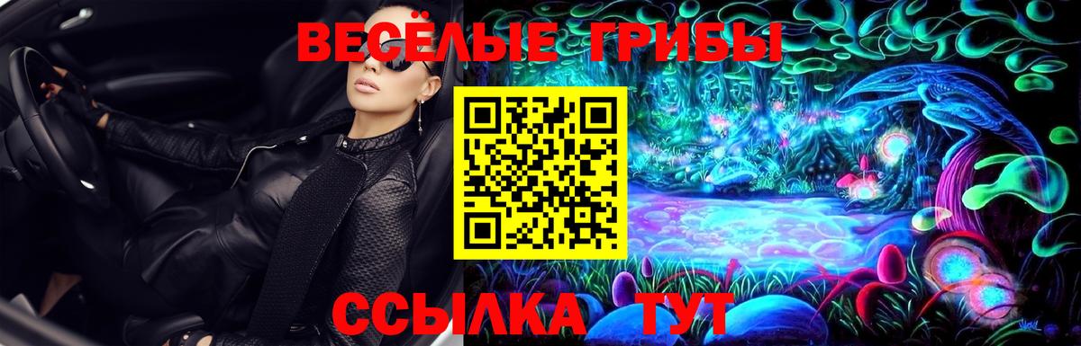 Галлюциногенные грибы GOLDEN TEACHER  Вход с VPN  Истра 