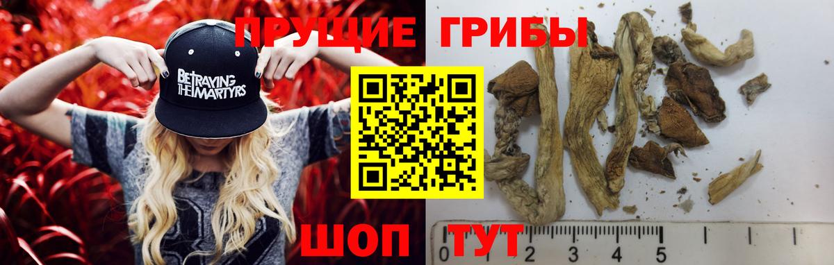 Псилоцибиновые грибы мухоморы Истра
