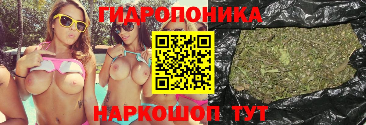Бошки Шишки Amnesia Истра